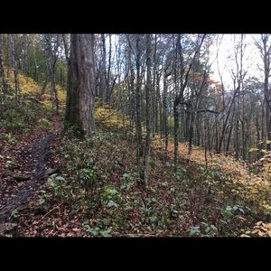 Meet your Posher, Isaac